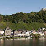 Mosel Weinberge